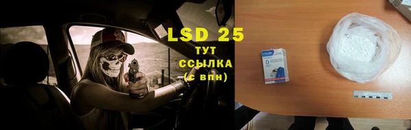 ПСИЛОЦИБИНОВЫЕ ГРИБЫ Новозыбков